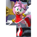 AMY ROSE